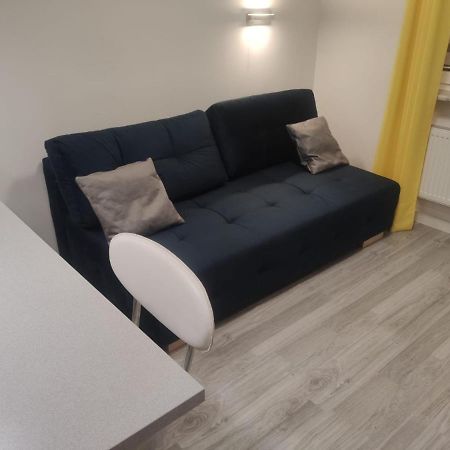 Comfortable Studio: Conference Center Proximity Siemianowice Slaskie Exterior photo